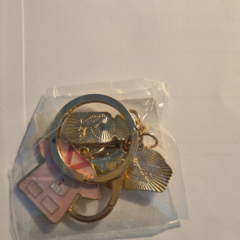 Nurse Themed Keychain with Charms - Picture 6 of 6